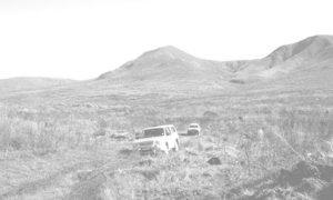 Flower Power 4x4 se dankie